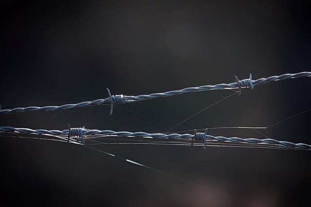 防检测浏览器好用吗？有什么好用的防检测浏览器推荐？